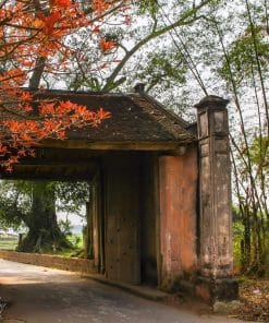 Tour Đạp xe Làng cổ Đường Lâm: Miền quê xanh nhuộm màu hoài cổ